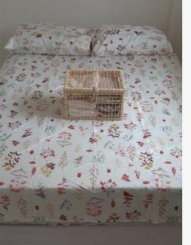 Aconchego Salmao Apartamento