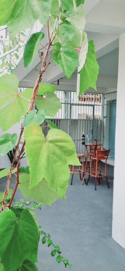 Apartamento Aconchego Salmao *